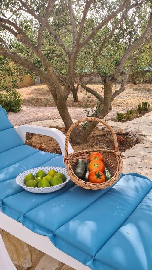 Villa Bubica- Cozy Holiday Home In Rural Area With Pool Stankovci  Esterno foto