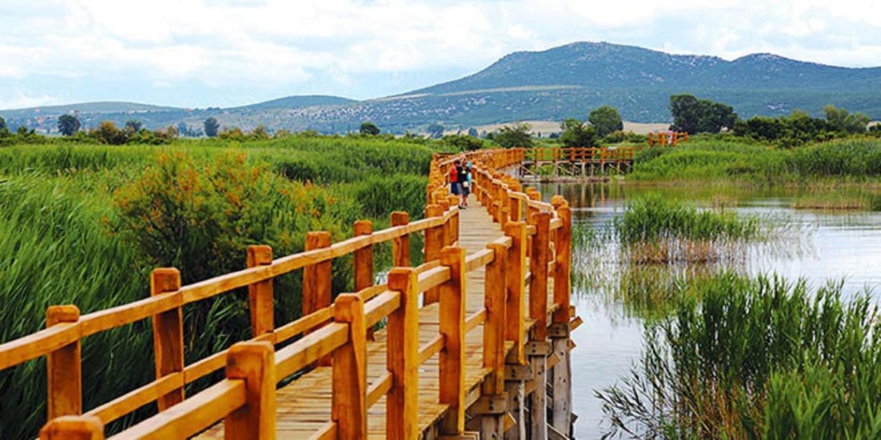 Villa Bubica- Cozy Holiday Home In Rural Area With Pool Stankovci  Esterno foto